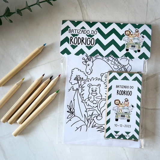 kit colorir lapis cor animais selva
