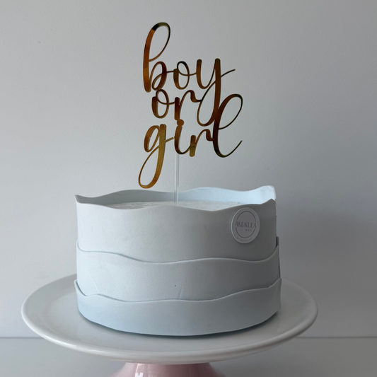 topo bolo boy or girl